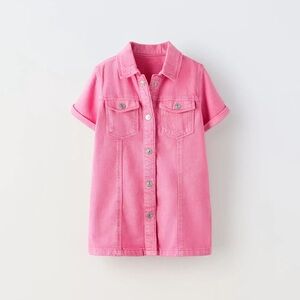 Zara Pink Denim Dress